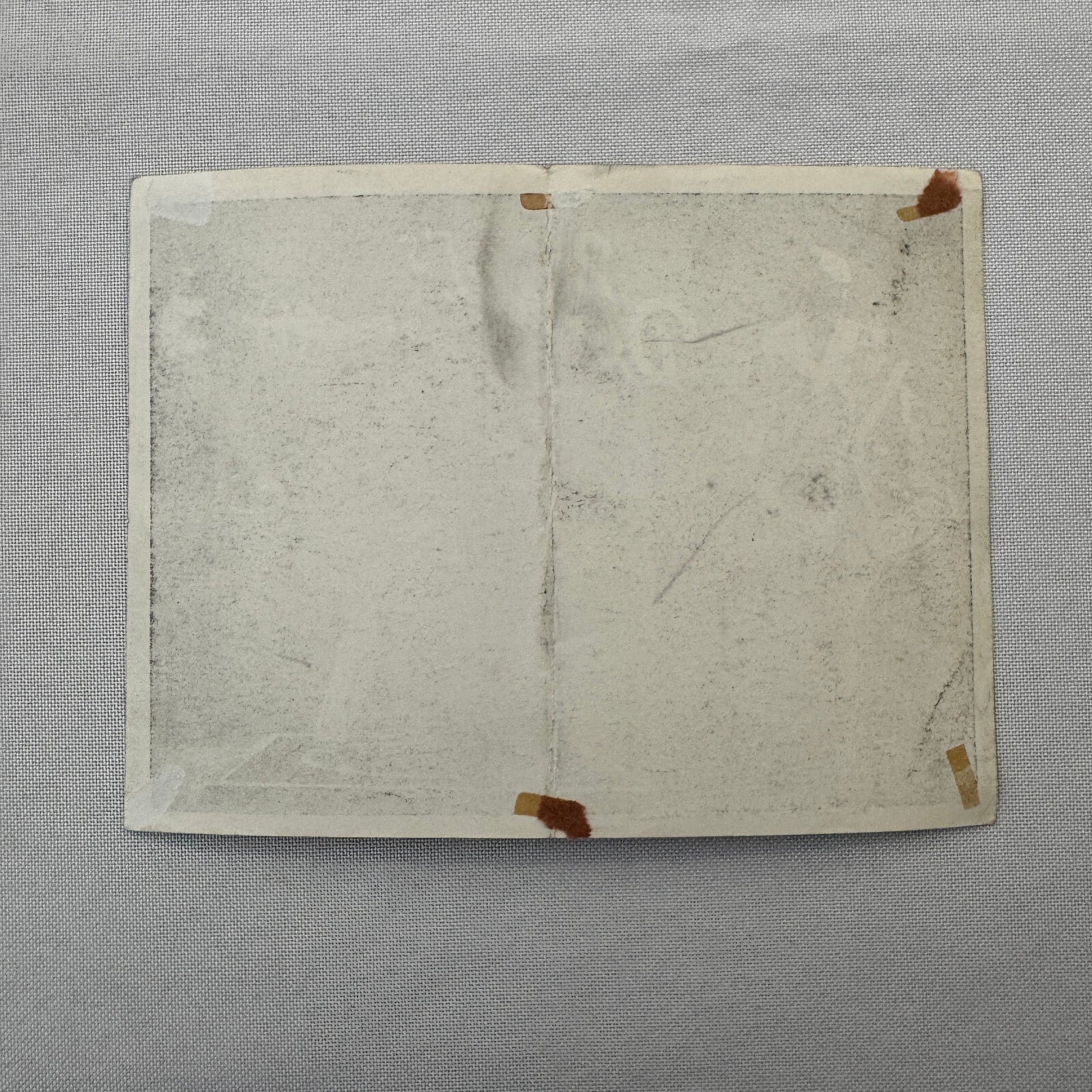 Circus Rollerskating Roller Skate Circus Act Flyer Advertising 2 Donalds