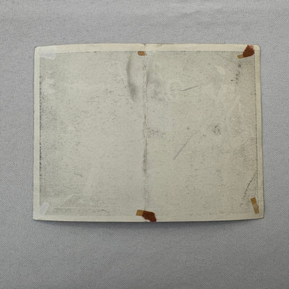 Circus Rollerskating Roller Skate Circus Act Flyer Advertising 2 Donalds