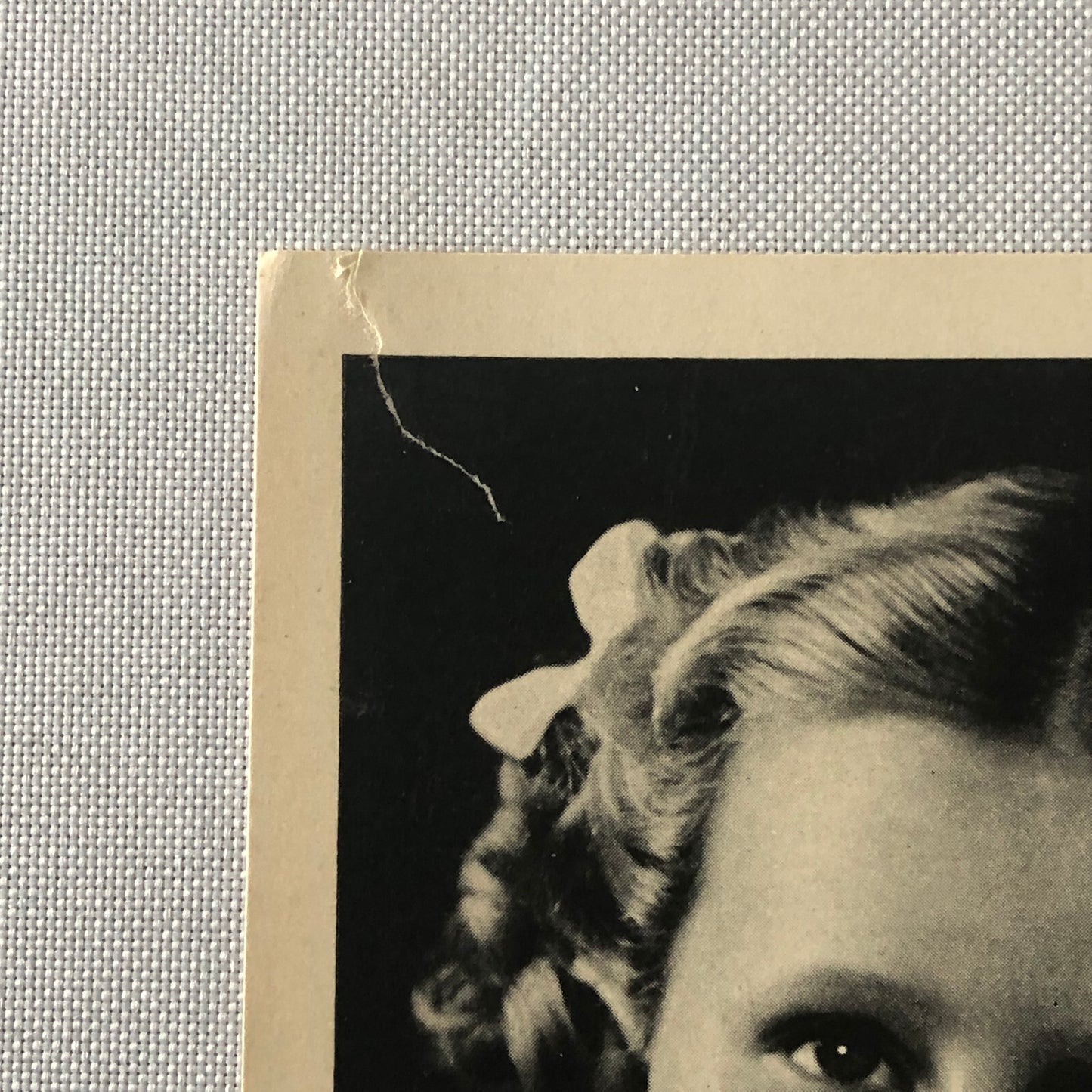 Circus Performer Edith Riegert Bicycle Acrobat Stunt Photo Photograph Child Girl