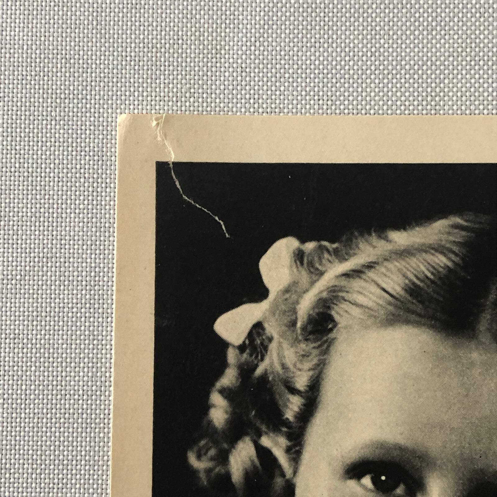 Circus Performer Edith Riegert Bicycle Acrobat Stunt Photo Photograph Child Girl