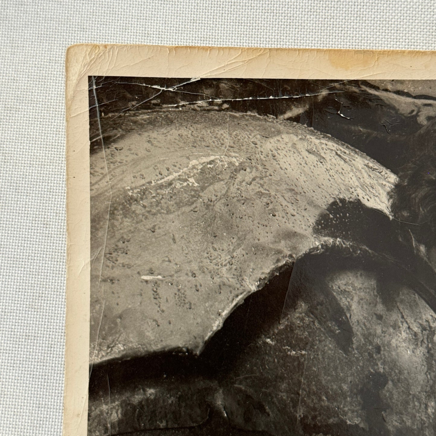 Vintage Stock Car Racing Car Driver Photo Photograph Mechanic