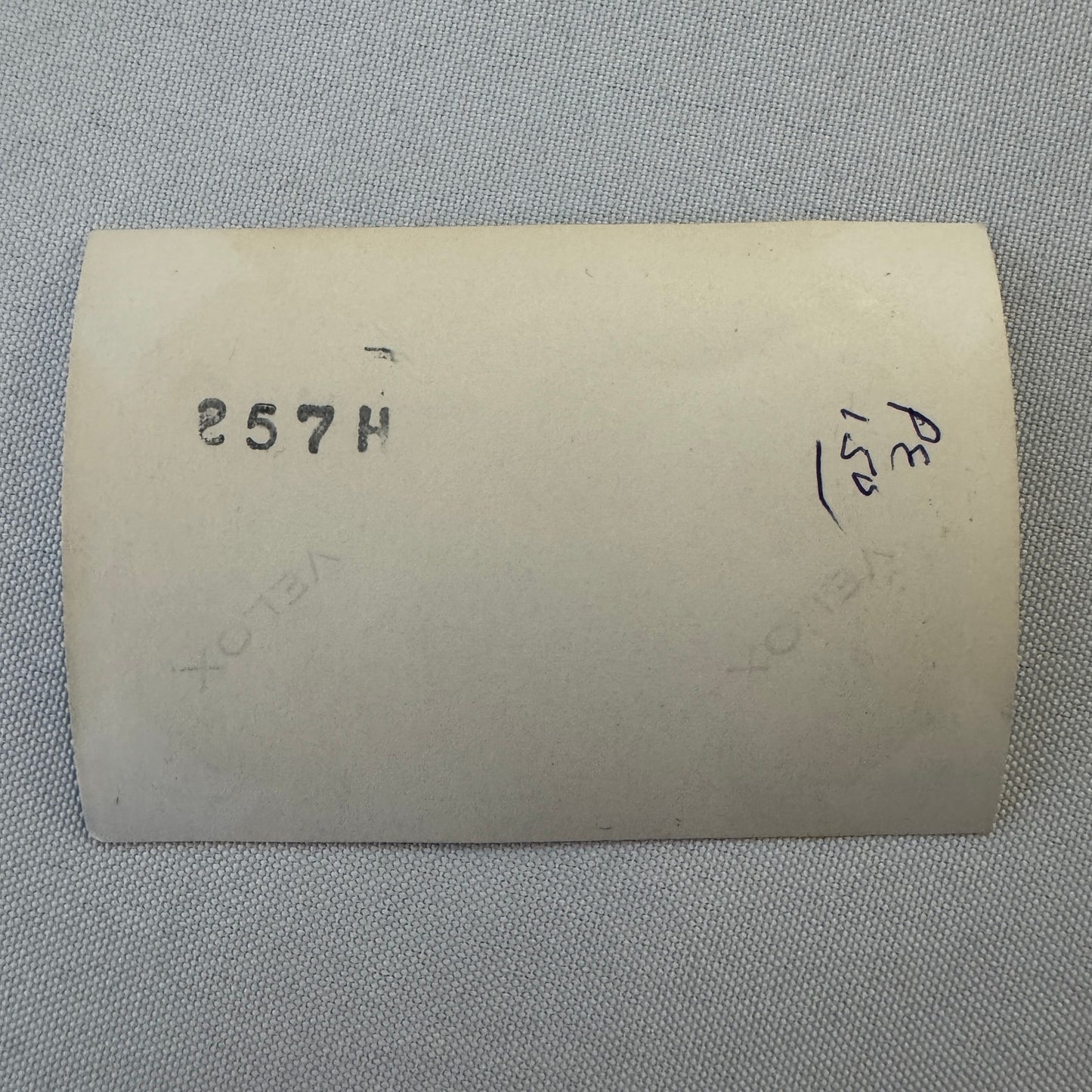 Vintage Car Horse Photo Women Photograph Snapshot Print