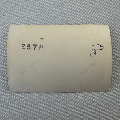 Vintage Car Horse Photo Women Photograph Snapshot Print