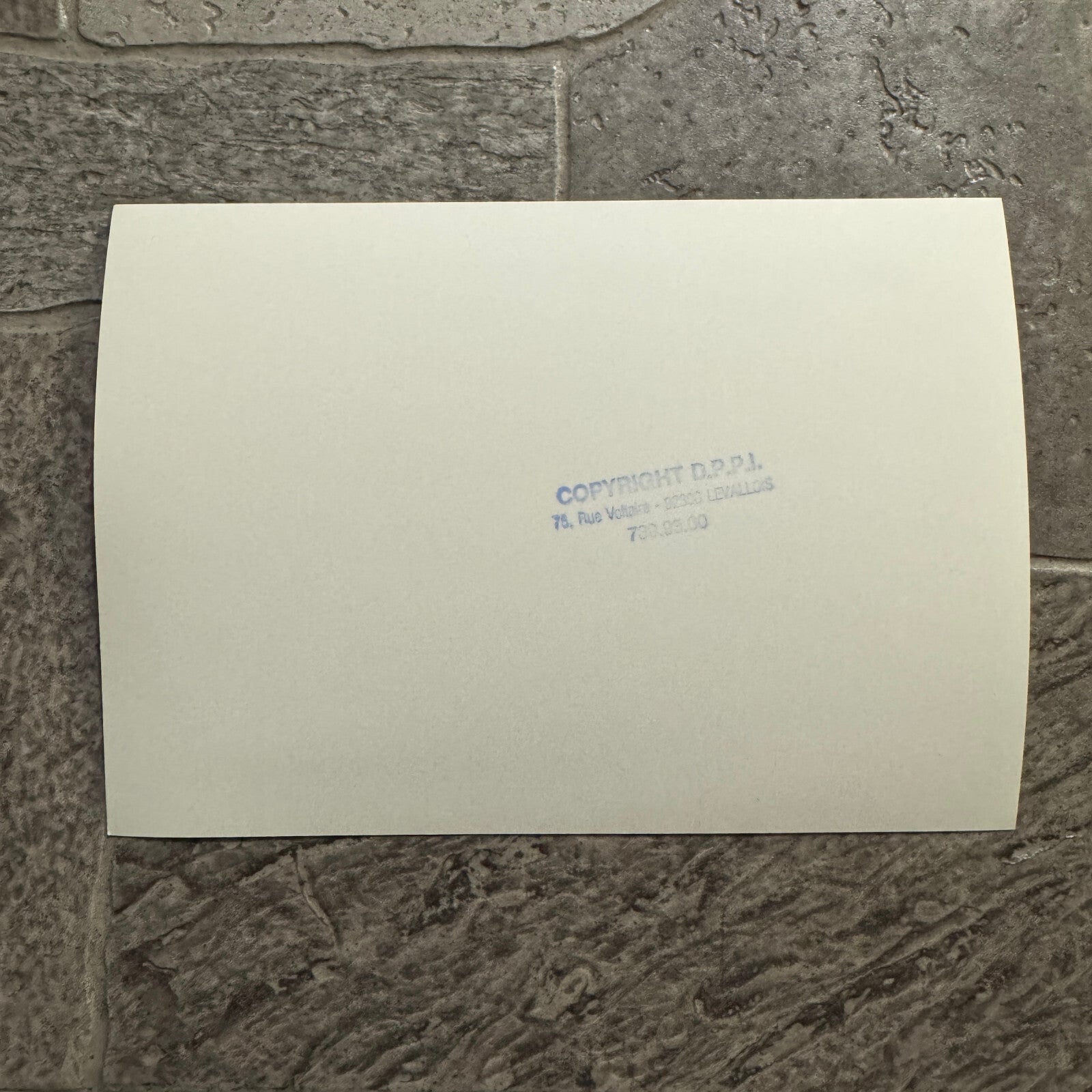 1980 RAC Rally Rallye Car Racing Photo Photograph Vintage Car