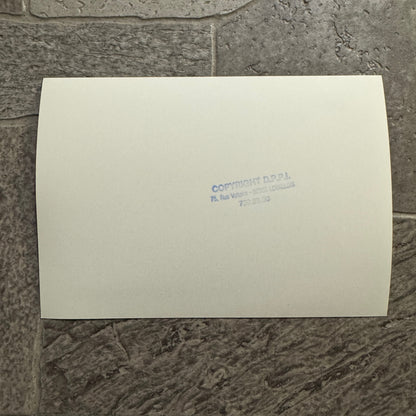 1980 RAC Rally Rallye Car Racing Photo Photograph Vintage Car