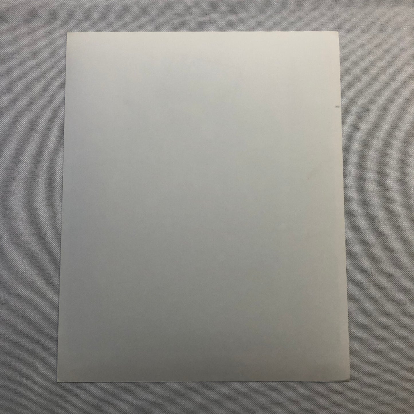 Walt Disney The Absent Minded Professor Press Photo Photograph