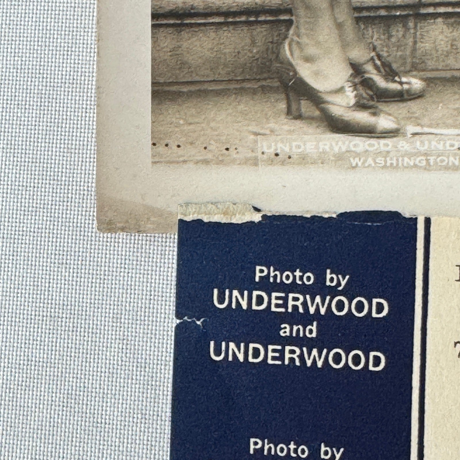Petition to Repeal Prohibition 1932 Vintage Press Photo Photograph Underwood