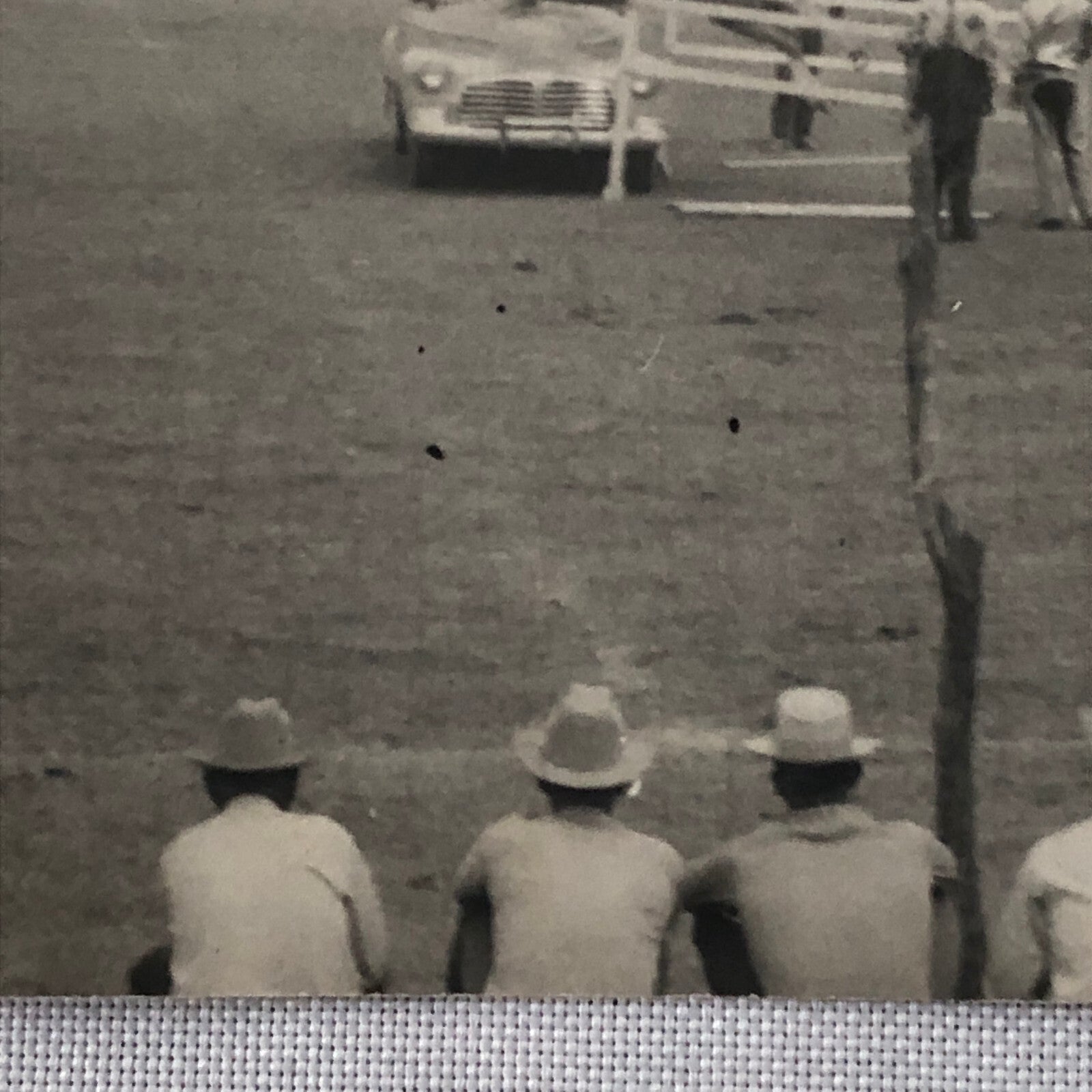 Horse Jumping Over Car Automobile Vintage Photo Photograph