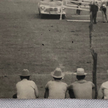 Horse Jumping Over Car Automobile Vintage Photo Photograph