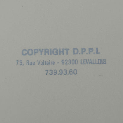 1980 Rallye Monte Carlo Press Photo Photograph DPPI Rally Cars Drivers