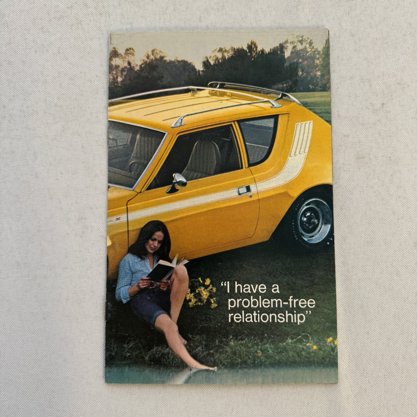 American Motors AMC Sales Brochure Catalog Levis Gremlin Matador X Hornet