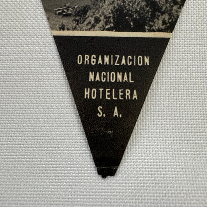 Vintage Travel Luggage Label Hotel Pucon Chile Chilean