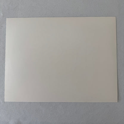 Porsche Quaker State Indy Car Racing Photo Photograph Print