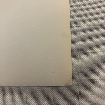 Porsche Racing Car Photo Photograph Vintage