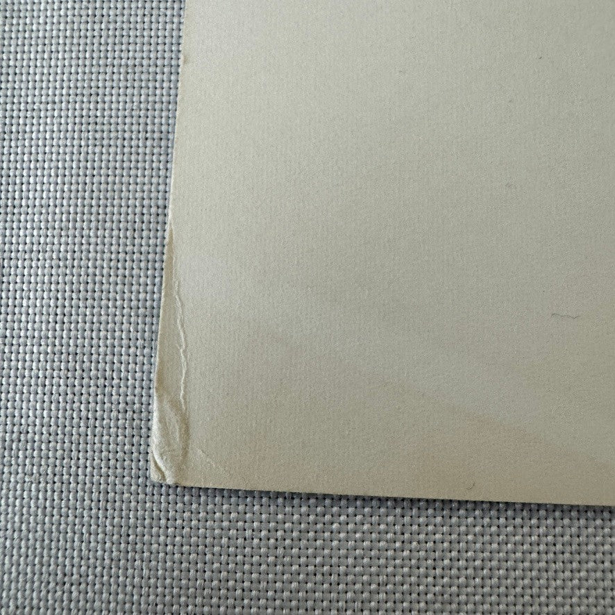 United Farmworkers Union Strike Labour Labor Canada Press Photo Photograph