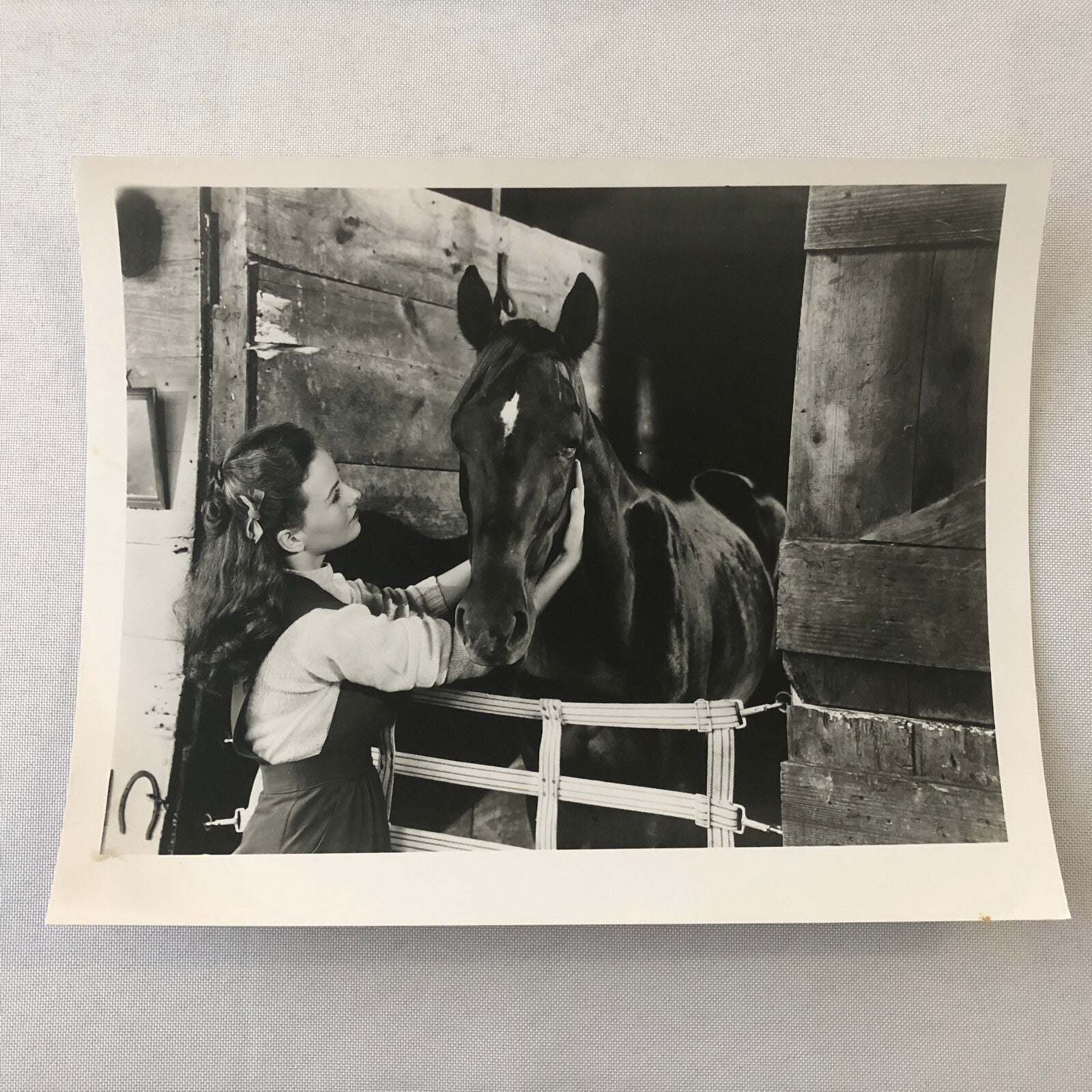 Vintage Movie Still Photo Photograph Jeanne Crain Home in Indiana with Horse