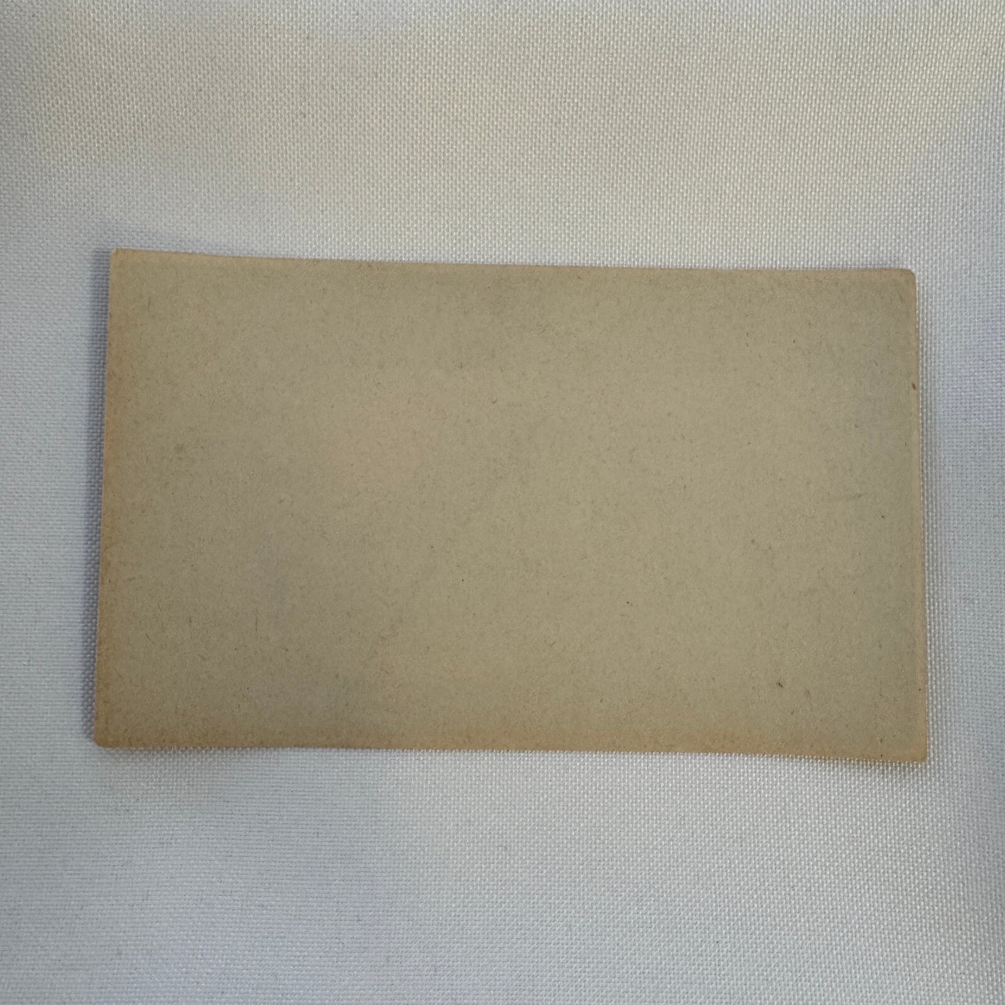 Vintage Travel Luggage Label Hotel Continental Paris France French