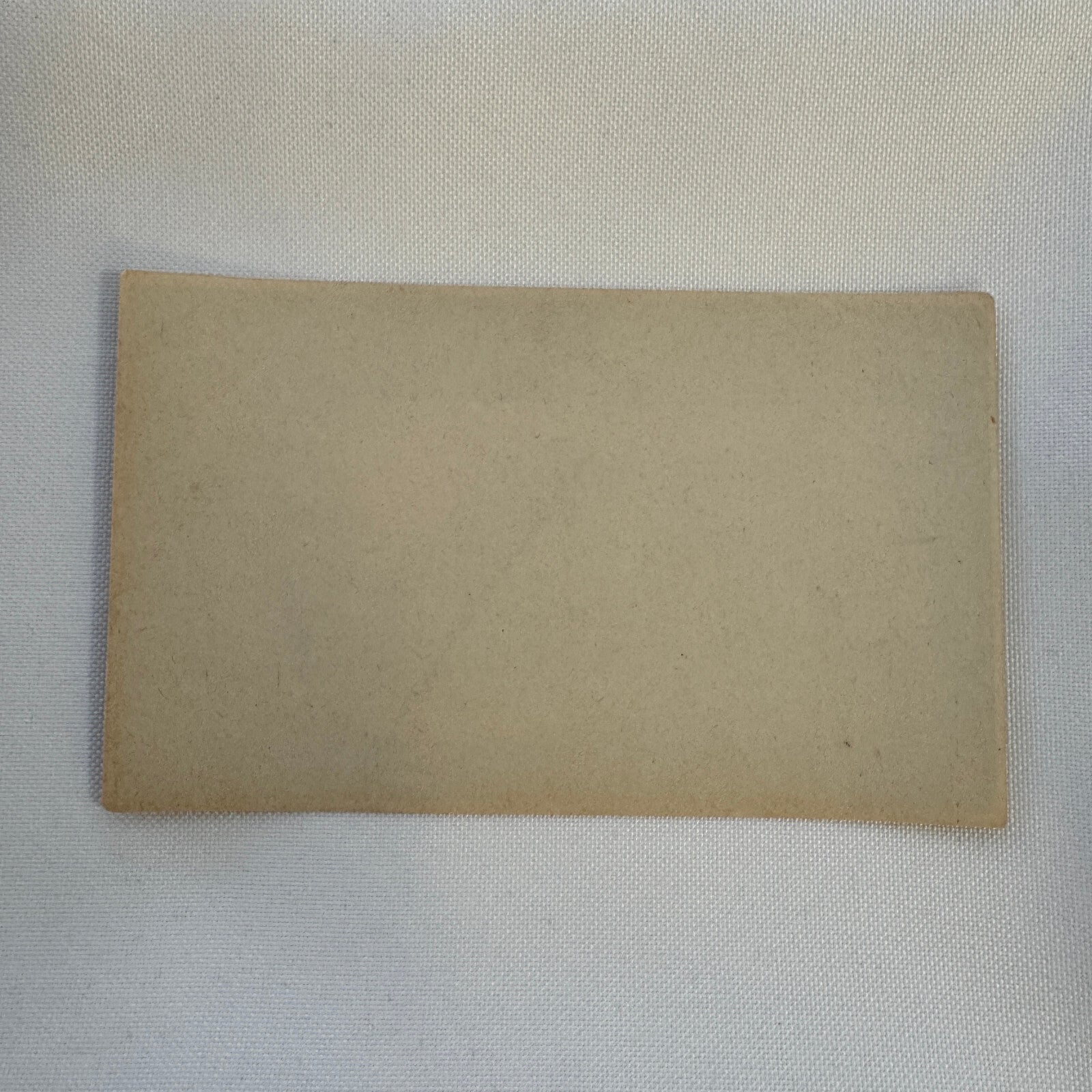 Vintage Travel Luggage Label Hotel Continental Paris France French