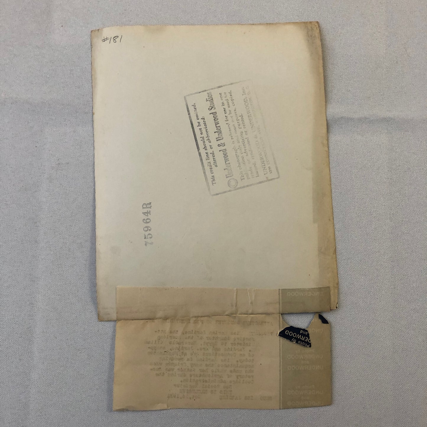 Press Photo Photograph Portrait Daughter of American Diplomat to Egypt 1931