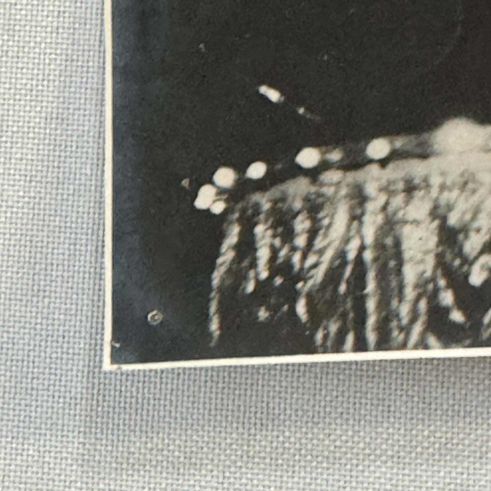 Vintage Circus Performer Photo Photograph Acrobatic Roller Skating Skate Act