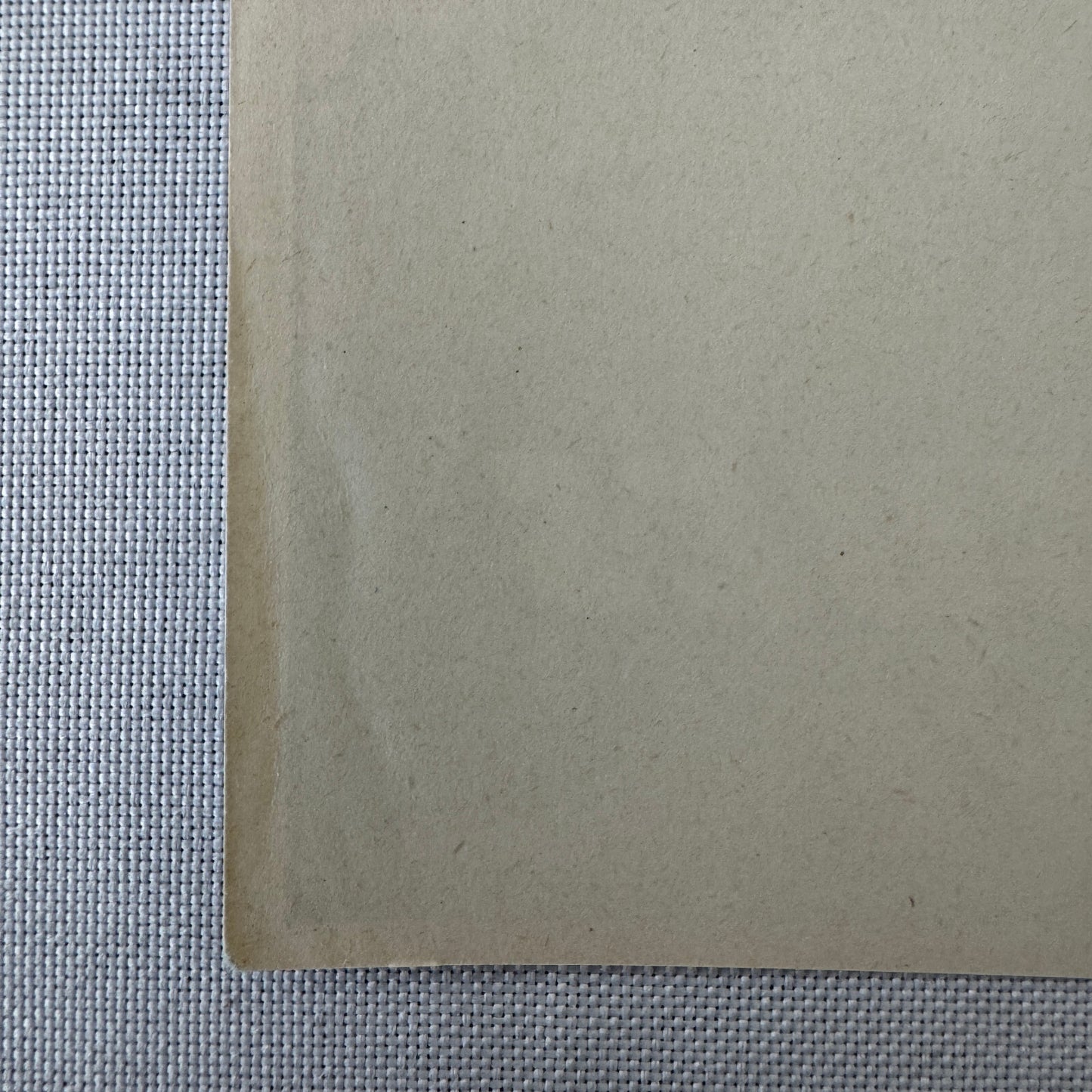 Vintage Travel Luggage Label Les Bergues Geneve Geneva Switzerland Swiss Suisse