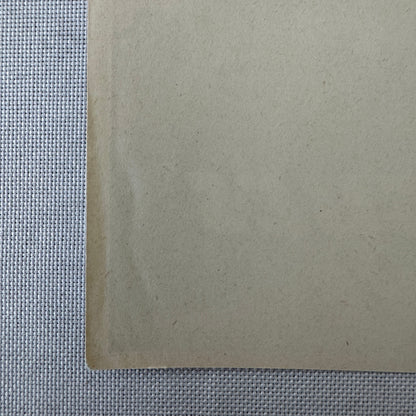 Vintage Travel Luggage Label Les Bergues Geneve Geneva Switzerland Swiss Suisse