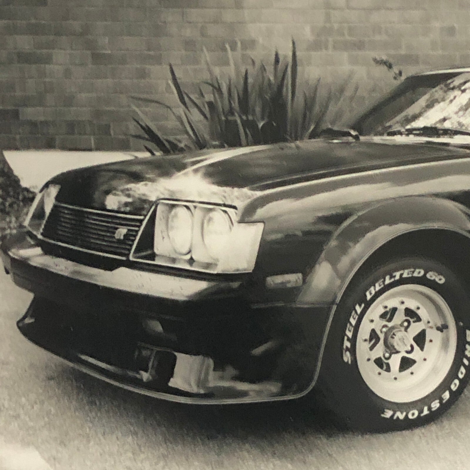 Vintage 1970s Custom Car Photo Photograph Toyota Celica ?