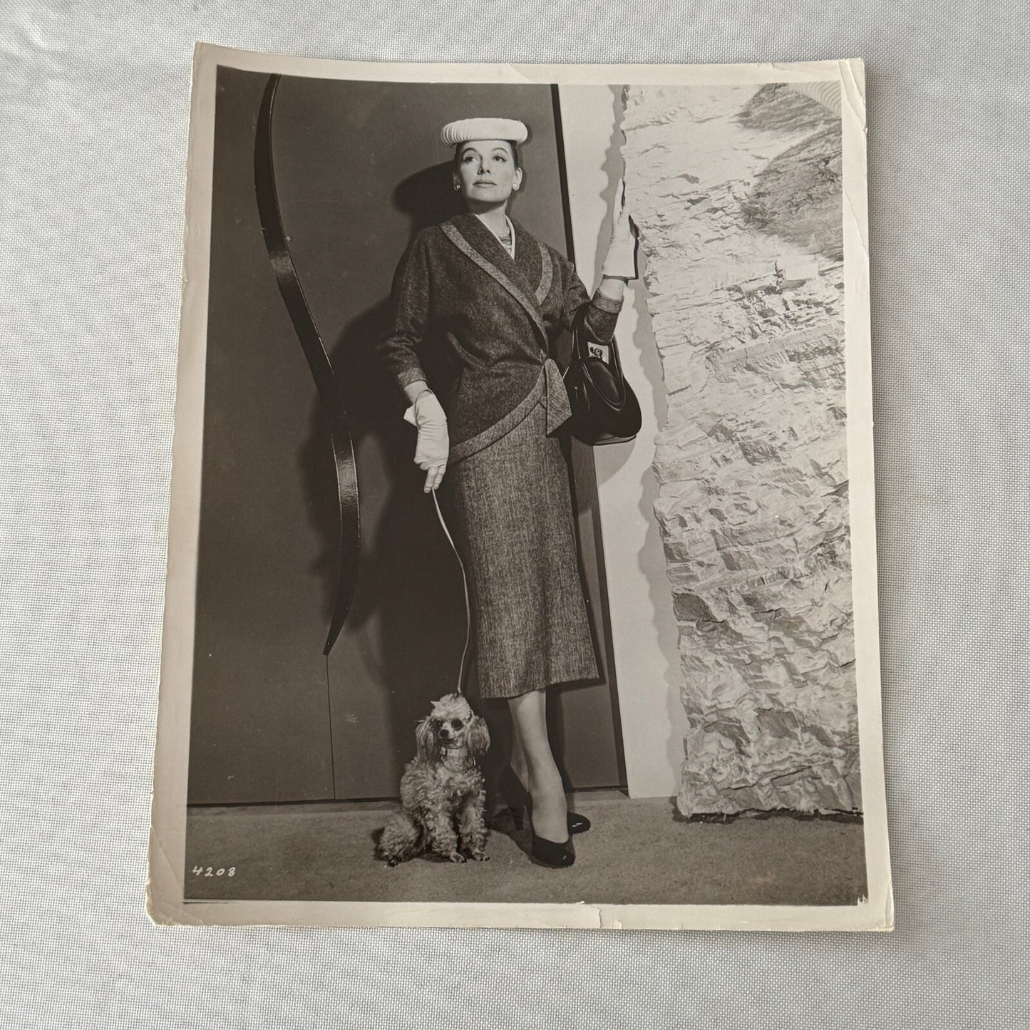 Vintage Movie Photo Photograph Actress with Dog Unidentified