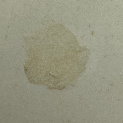 Vintage Alfa Romeo Car Automobile Photo Photograph Print