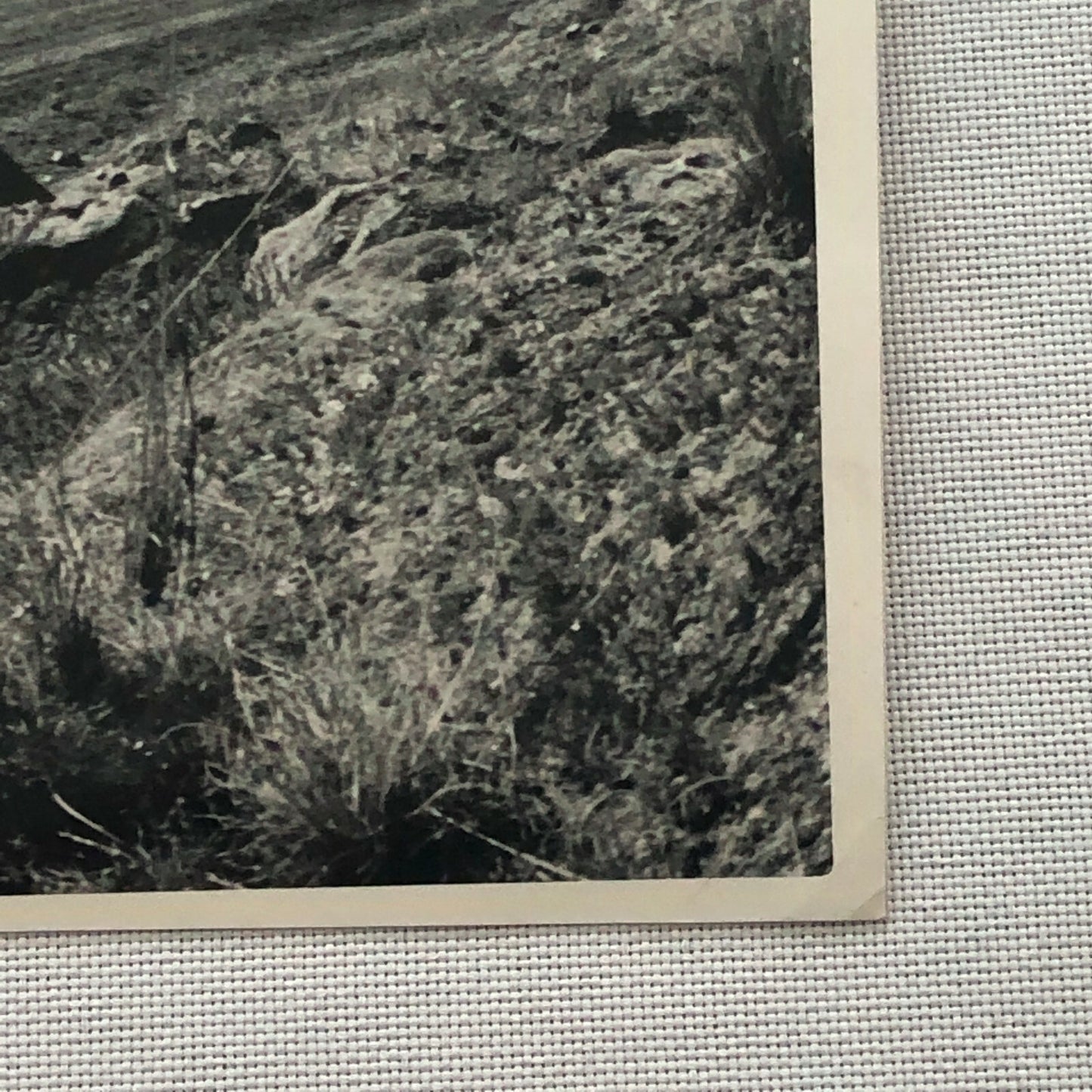 Vintage Racing Photo Photograph Oscar Cabalen Ford Mustang Argentina Rally ? 