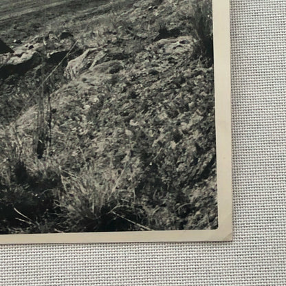 Vintage Racing Photo Photograph Oscar Cabalen Ford Mustang Argentina Rally ? 