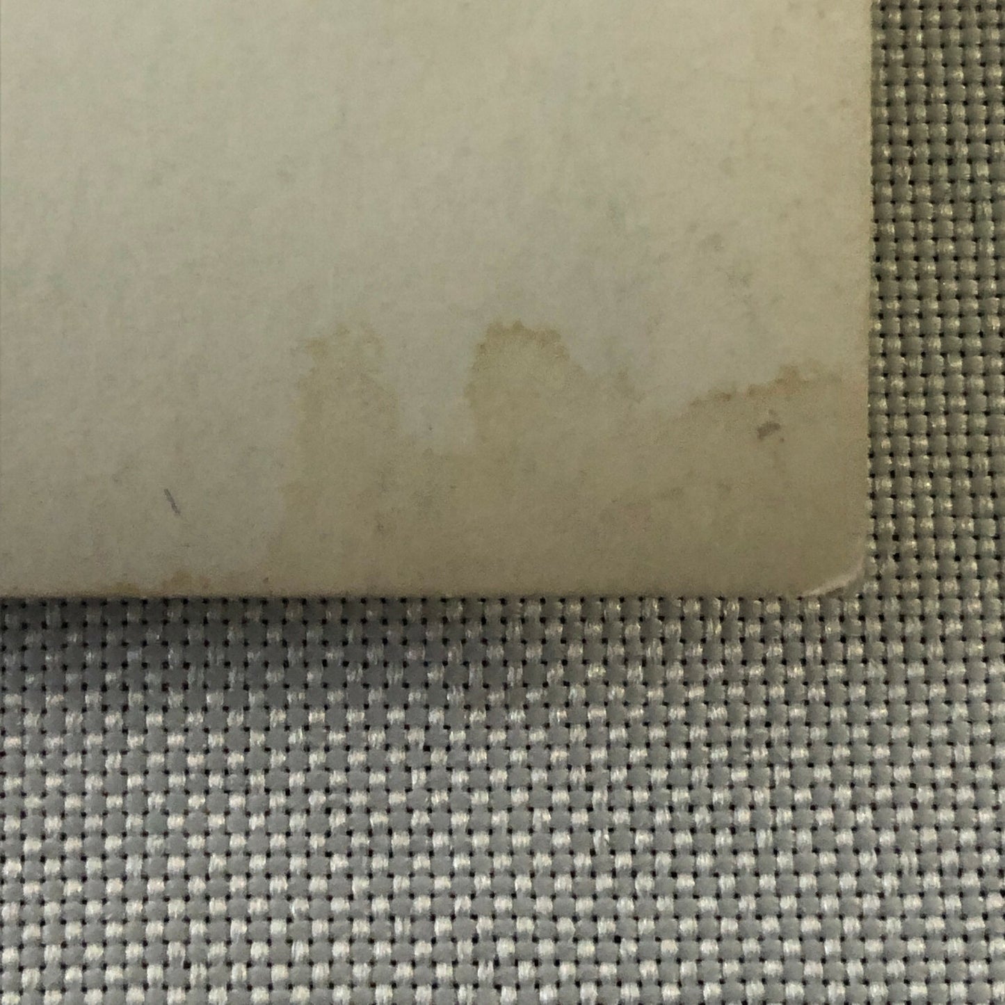 Vintage Car Racing Photo Photograph - Crystal Palace Cooper Bristol Car 