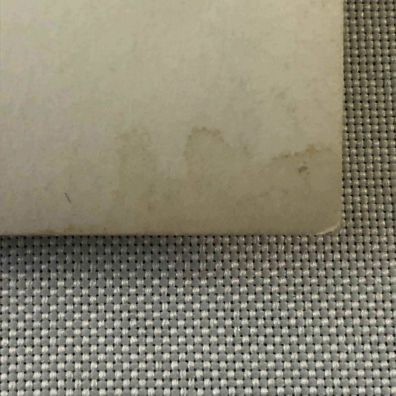 Vintage Car Racing Photo Photograph - Crystal Palace Cooper Bristol Car 