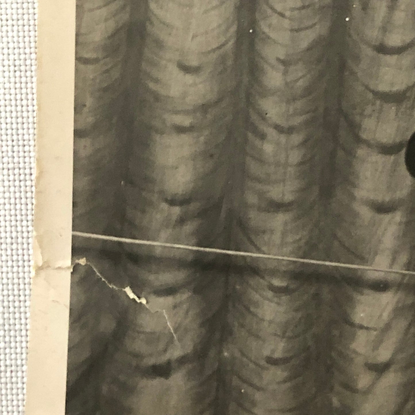 Circus Performer Unicycle Balancing Act Photo Photograph Dam Brothers Vintage