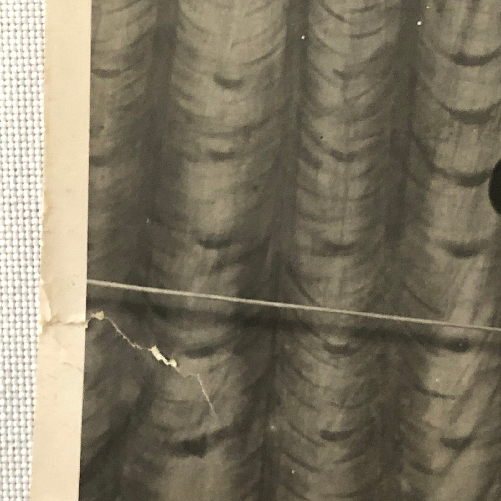 Circus Performer Unicycle Balancing Act Photo Photograph Dam Brothers Vintage