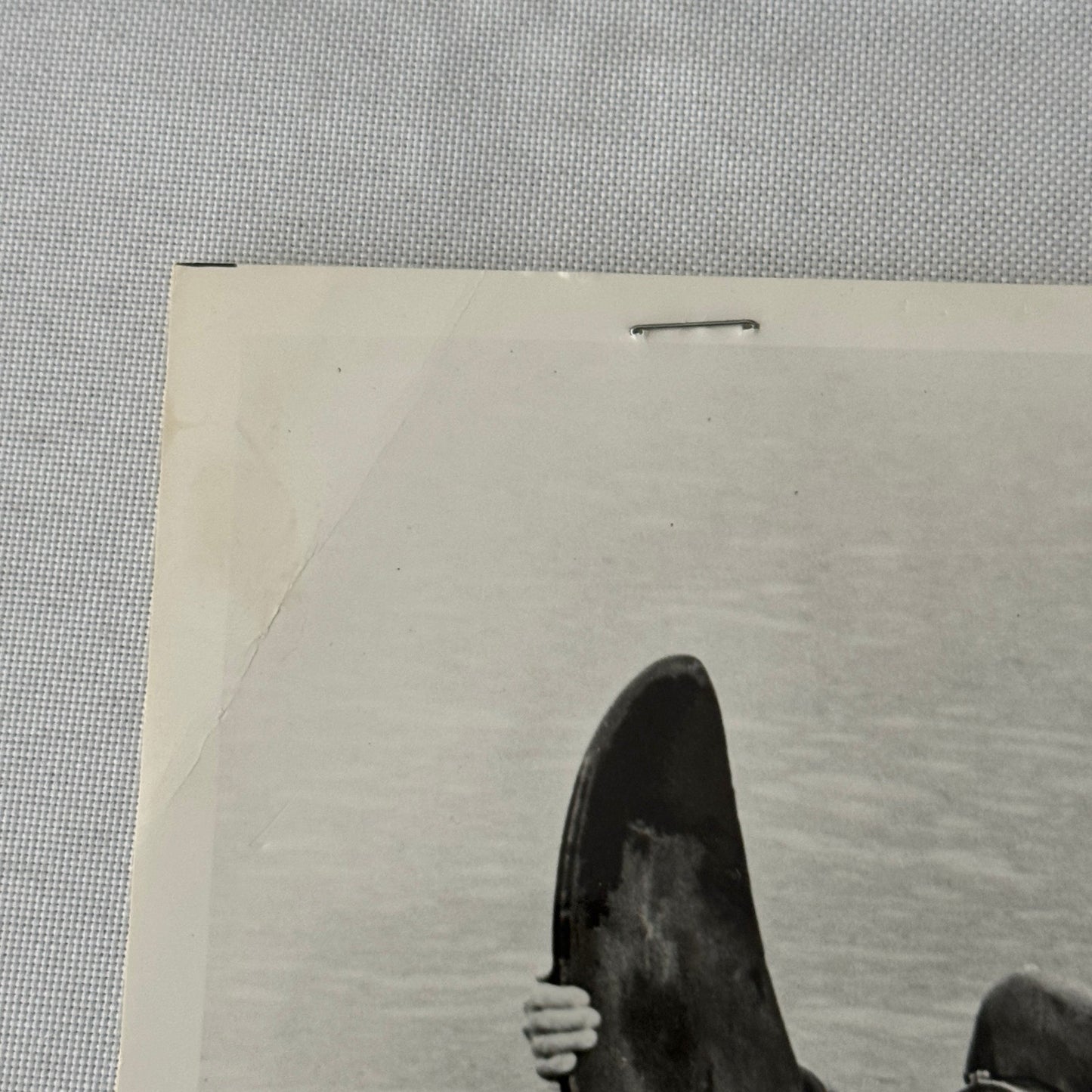 Vintage Movie Still Press Photo Photograph Namu the Killer Whale 1966