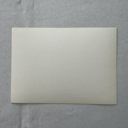 1978 Chevrolet Camaro Factory Press Photo Photograph Vintage