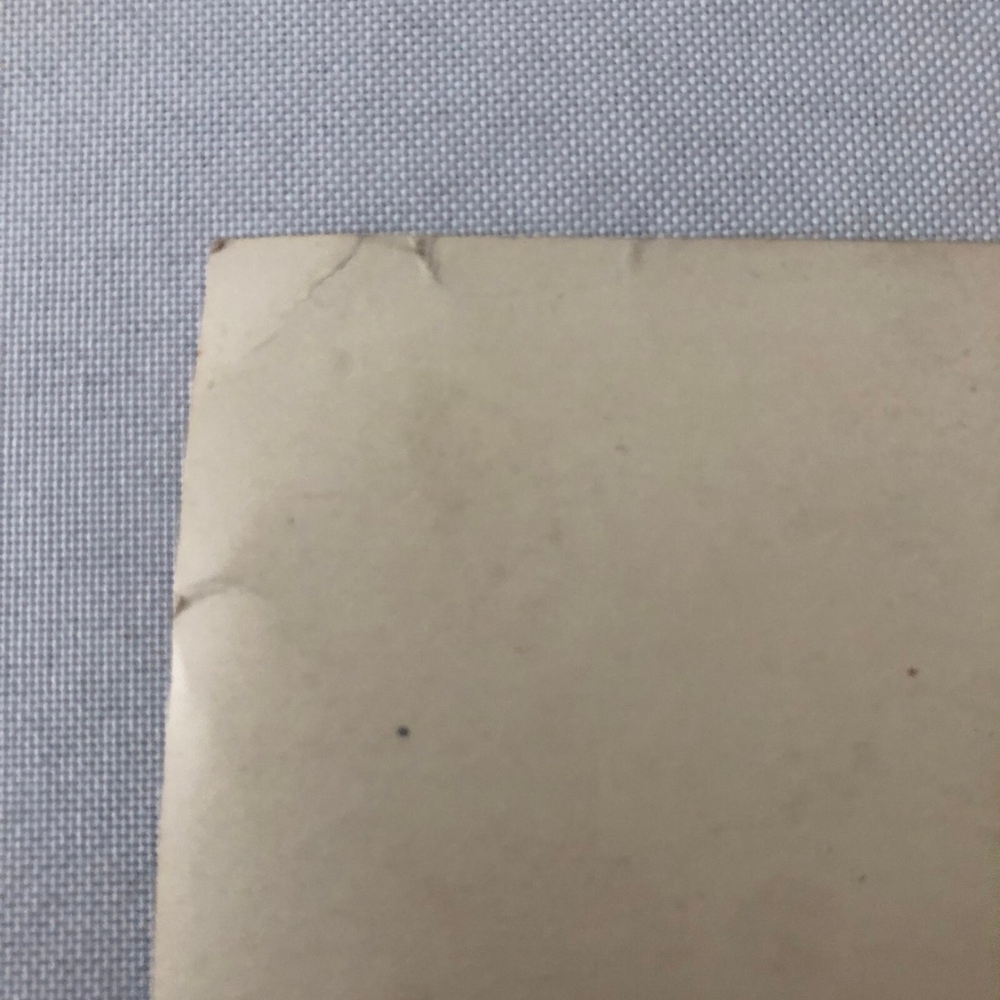 Circus Performer Acrobat Act Photo Photograph Vintage Roxi Troupe Acrobats