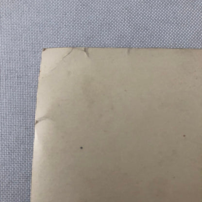 Circus Performer Acrobat Act Photo Photograph Vintage Roxi Troupe Acrobats