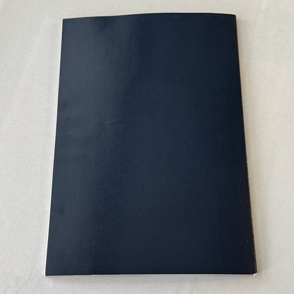1979 Renault Annual Report Corporate Brochure GERMAN Language