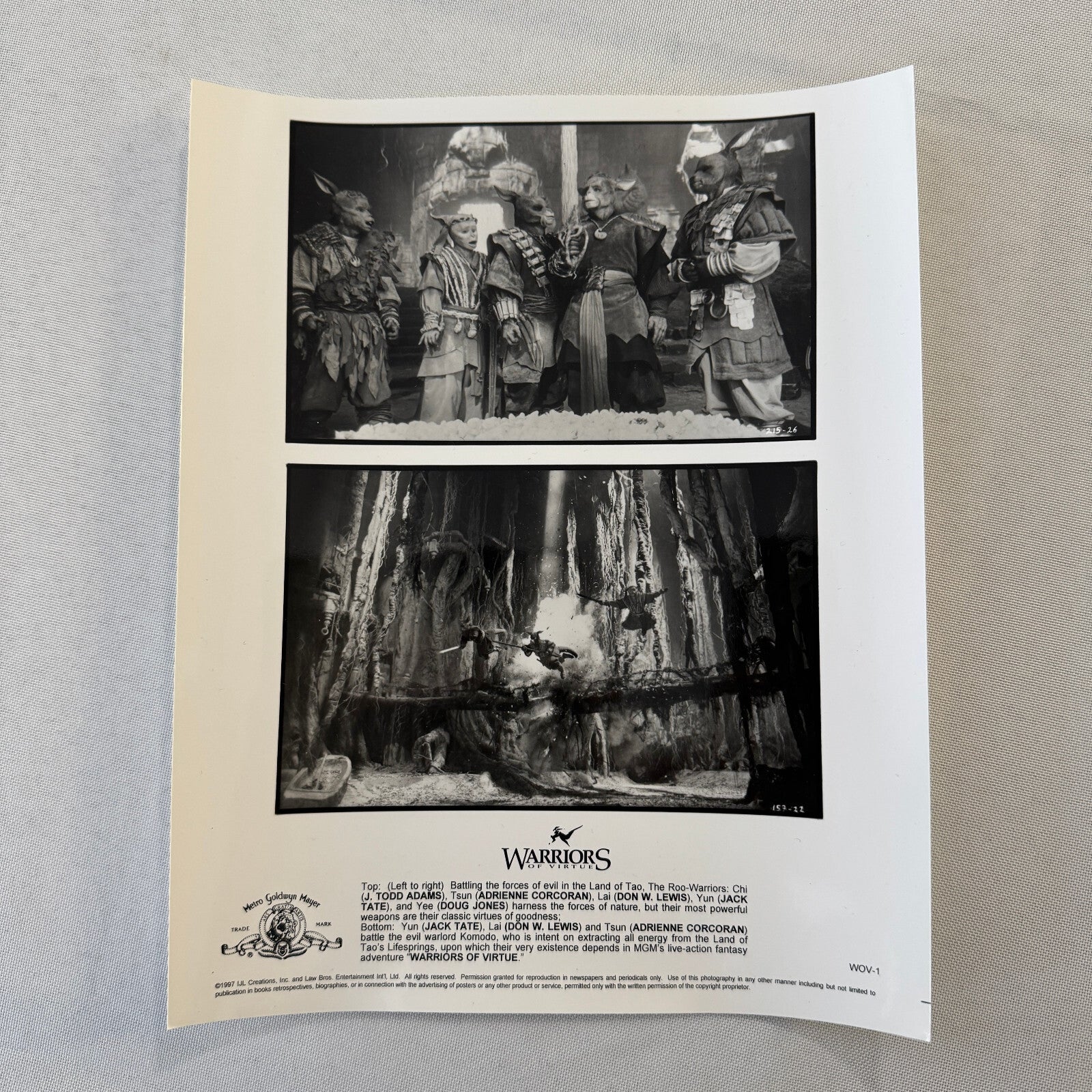 Warriors of Virtue Movie Film Press Photo Photograph 1997