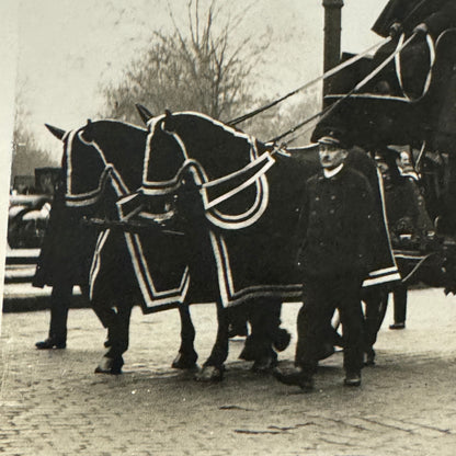 French Funeral Procession Horse Wagon Hearse Louis Loucheur Press Photo 1931