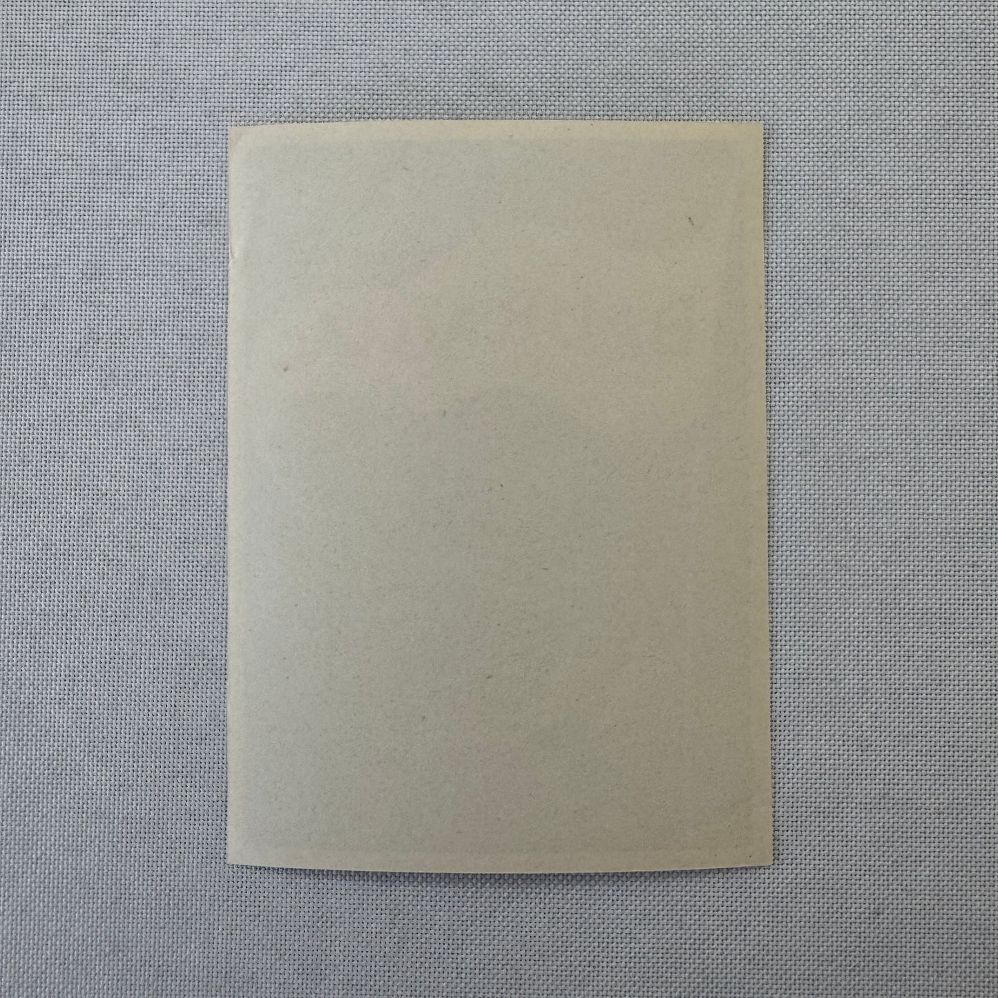 Vintage Travel Label Baur au Lac Zurich Switzerland Swiss