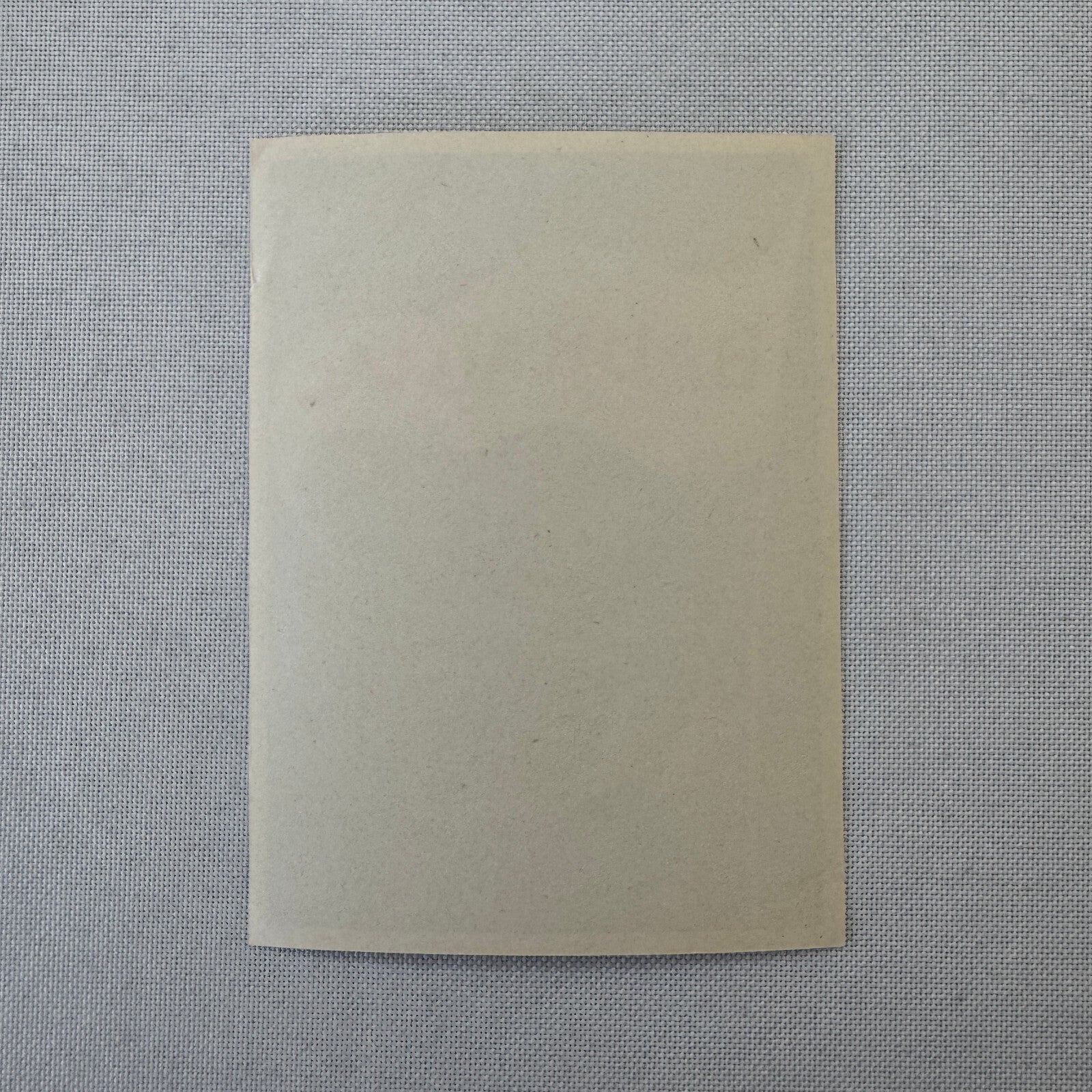 Vintage Travel Label Baur au Lac Zurich Switzerland Swiss