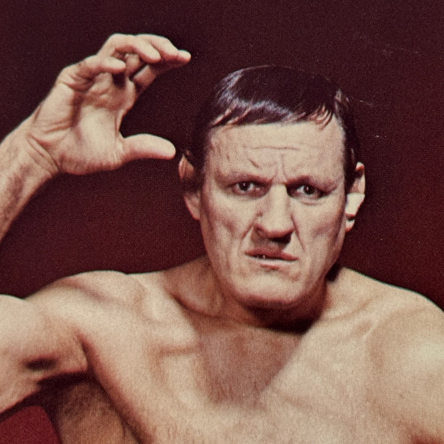 Vintage Wrestling Print Insert Wladek Killer Kowalski Quebec French 1973