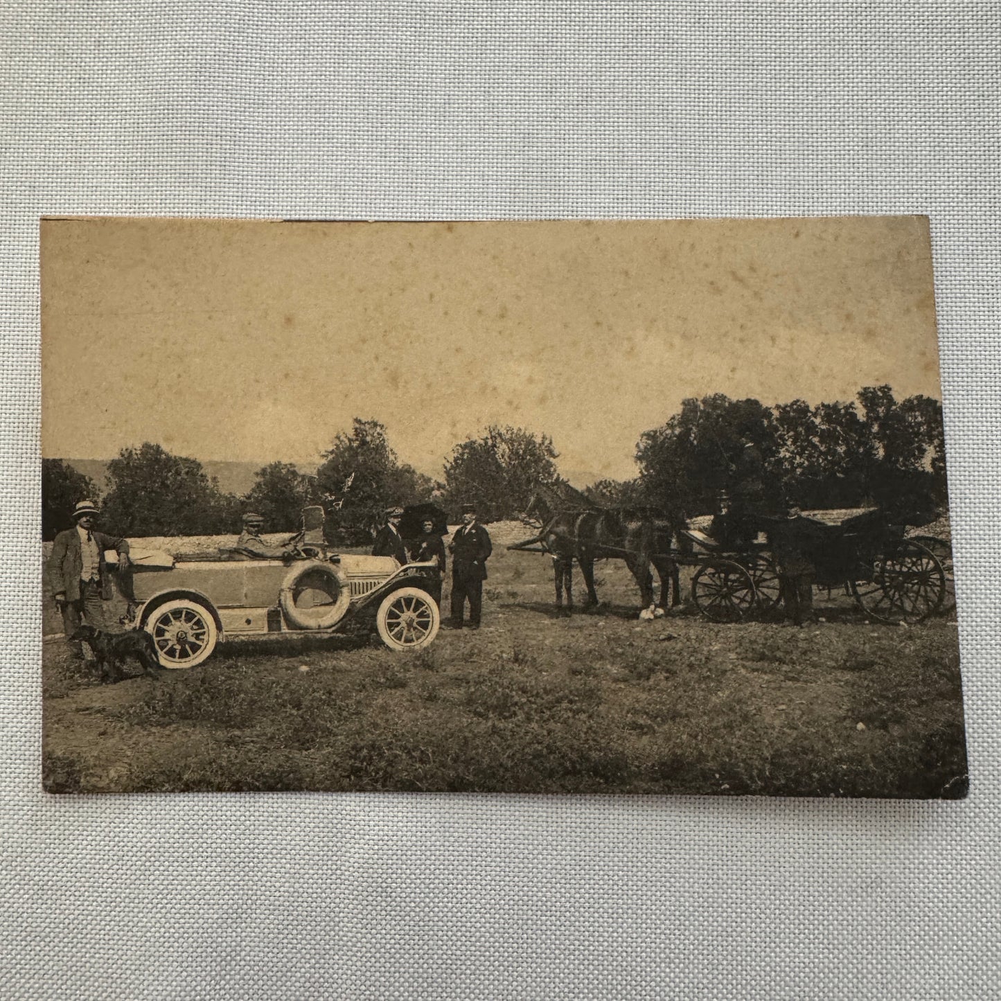 Vintage Car Automobile Postcard Post Card Italy Italian Horse Drawn Wagon
