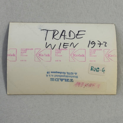 Vintage Kit Car Photo Photograph Volkswagen Chassis Dune Buggy