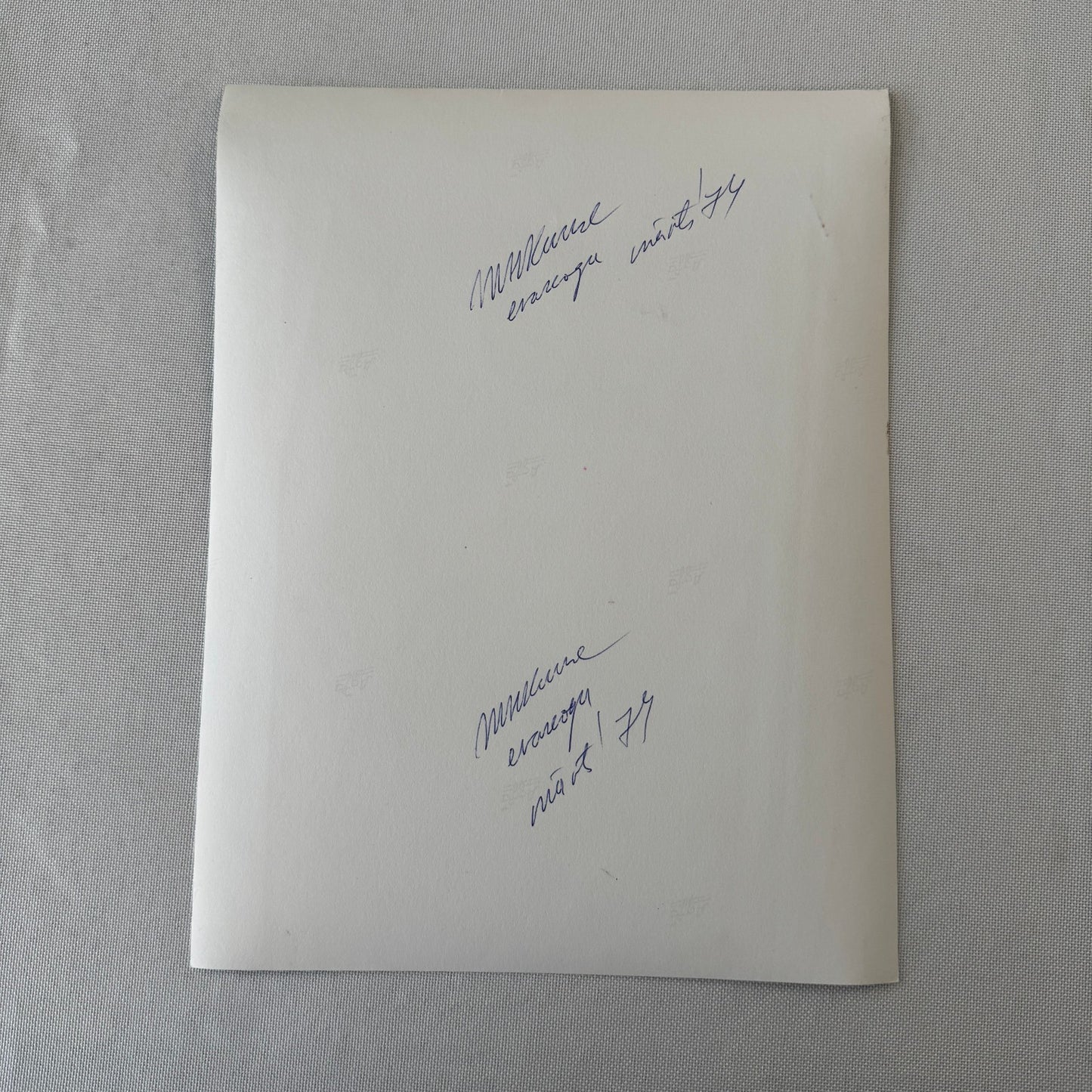 Porsche Martini Racing Driver Photo Photograph Gijs Van Lennep Herbert Muller