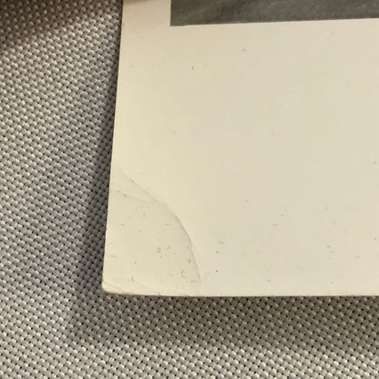 Vintage Racing Photo Photograph Can AM CanAm Riverside Times Race Denny Hulme +