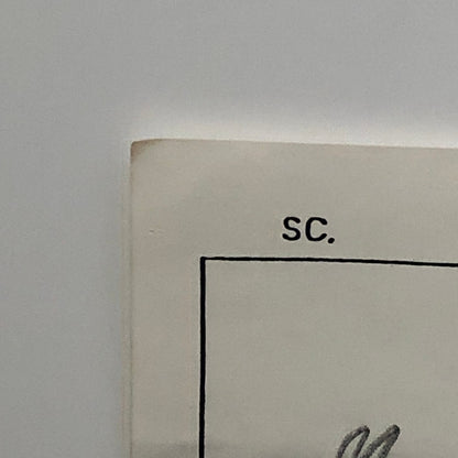 ANIMANIACS Animation Storyboard Illustration Drawing Sketch Story Board Art